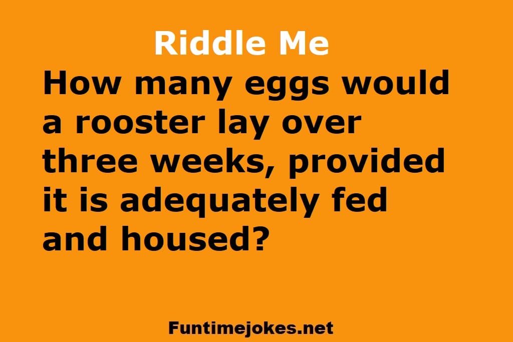How many eggs would a rooster lay over three weeks, provided it is adequately fed and housed?